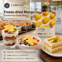 Gedroogde Mango Slices 100% Echt Mango Fruit Snack Klaar om te eten Gezond 15g/zak China Leverancier Groothandel OEM Private Label