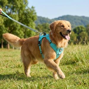 YooGo YG-559 Langlebiges Verstellbares Haustier-Geschirr mit Airtag-Ortung für Hunde Atmungsaktiver & Waschbarer - Product Image 3