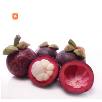 Voedingsmiddelkwaliteit natuurlijk ontstekingsremmend mangosteen fruitpoeder