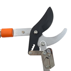 Cortador de derivación de trinquete profesional () para herramienta manual de jardín de poda de ramas altas - Product Image 4