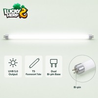 Tube fluorescent Lucky Herp T5 8W UVB5.0, économie d'énergie, respectueux de l'environnement, lumière naturelle pour reptiles et amphibiens, 12 pouces, 7000-8000K, 8000 heures, CRI