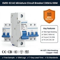 Disjoncteur miniature MCB 1P 2P 3P 4P 6-63A 10kA AC 230V Courbe C IEC 60898-1 CE CB