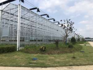 Goedkope glazen kas voor de landbouw met hydroponisch kweeksysteem voor de teelt van aardbeien/tomaten/sla/komkommers - Product Image 2