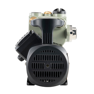 300W Autoadescante <span class=keywords><strong>Pompa</strong></span> <span class=keywords><strong>Acqua</strong></span>, <span class=keywords><strong>Serbatoio</strong></span> di <span class=keywords><strong>Acqua</strong></span> Calda ac 220v mini <span class=keywords><strong>pompa</strong></span> ad <span class=keywords><strong>acqua</strong></span> - Product Image 4
