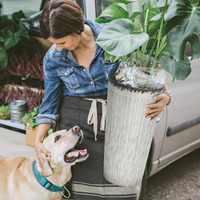 Vente en gros de pots de plantes en plastique au design moderne, grande jardinière noire décorative, pot de fleurs rond en plastique pour l'intérieur et l'extérieur