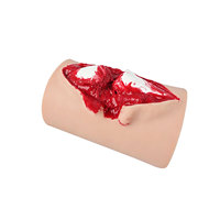 DARHMMY Modelo de Entrenamiento para Fractura Abierta de Tibia, Módulo de Simulación de Heridas por Fractura Abierta para Entrenamiento de Primeros Auxilios en Traumatismos