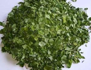 Moringa séché du Vietnam de haute qualité au meilleur prix - Product Image 3