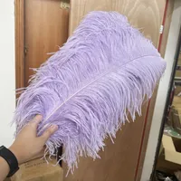 10 Stück/Set Gefärbte Bunte Große Straußenfedern 50-75cm Schwarz Weiß Rot Halloween Hochzeit Tischdekoration
