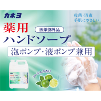 Kaneyo Japon – Recharge de savon liquide médicamenteux pour les mains, format professionnel 5 kg, parfum agrumes, antibactérien, désinfectant, 50%-80% actif