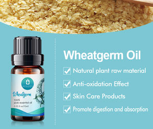 Óleos Carreadores Prensados a Frio Mais Vendidos para Massagem e Facial: Óleo de Amêndoa, Damasco, Oliva, Borrego, Linhaça, Mamona, Abacate, Camélia e Coco - Product Image 6