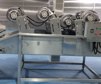 SUS304 Water Bath Pasteurizer Tunnel Pasteurization Machine for Juice Milk Beverage Sauce Sterilization