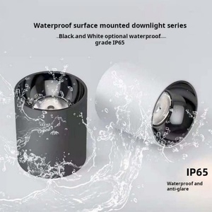 Foco LED de Techo Impermeable IP65 de Superficie, de Aluminio Fundido a Presión, COB, 10W 15W 20W, con Certificación CE y RoHS - Product Image 2
