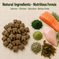 Biscuits à mâcher pour chiens au saumon, poulet, spiruline et herbe d'orge pour le nettoyage des dents, OEM ODM Marque Privée Vente en Gros