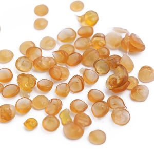 Machine de fabrication de colle pour os d'animaux Colle à peau granulée - Product Image 3