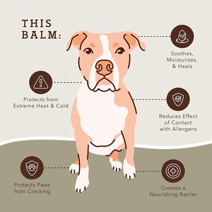 OEM/ODM 2oz Etiqueta Privada PawTection bálsamo palo totalmente natural perro pata hidratante para uso diario productos de aseo para mascotas - Product Image 3