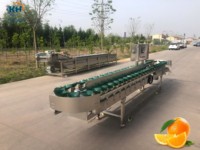 Kehong Automatische Dozen Sorteermachine Precisie Gewichtsweegschaal Houten Kist Verpakt voor Wereldwijde Kopers van Voedselverwerking
