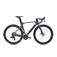 Vélo de Route TWITTER R10 Personnalisable en Fibre de Carbone avec Frein à Disque, Câblage Intégré, 700C, Configuration OEM DIY Optionnelle