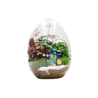 56H Kreative EGG-förmige Glasflasche DIY Aquascape Home Decoration Boro silikat Terrarium Moos Pflanzer Flasche Blumenvase