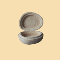 100% naturel maison compostable Marine dégradable mycélium champignons champignon bijoux cadeau montre accessoire insérer emballage boîte étui