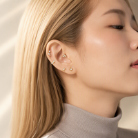 Hengsen High Quality ASTM F136 Titanium Flower Cartilage Tragus Earrings Zircon Internally Thread Labret Lip Piercing Jewelry