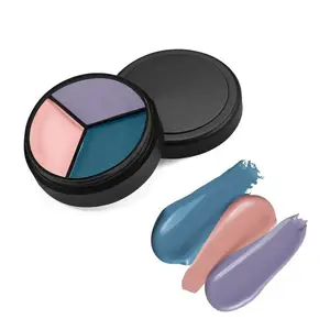 Kosmetiksalon ausstattung individueller glitzer leerer lidschatten palette eigenmarke solide lackierung gel nagellack 3in1 gel-lack