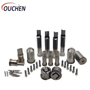 MS Factory Direct Supply Punch Press Metal Die Set Non-Standard Custom Punch and Die Manufacturers