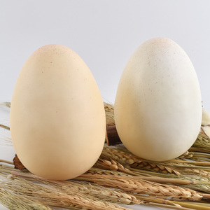 Huevos de Pollo Artificiales de PVC al por Mayor, Huevos de Avestruz Blancos de Juguete para Fiestas Infantiles, Navidad, Jardines y Ocasiones - Product Image 4