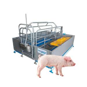 Jaulas de Paridera Tipo Europeo Duraderas con Comederos para Cerdos - Product Image 5