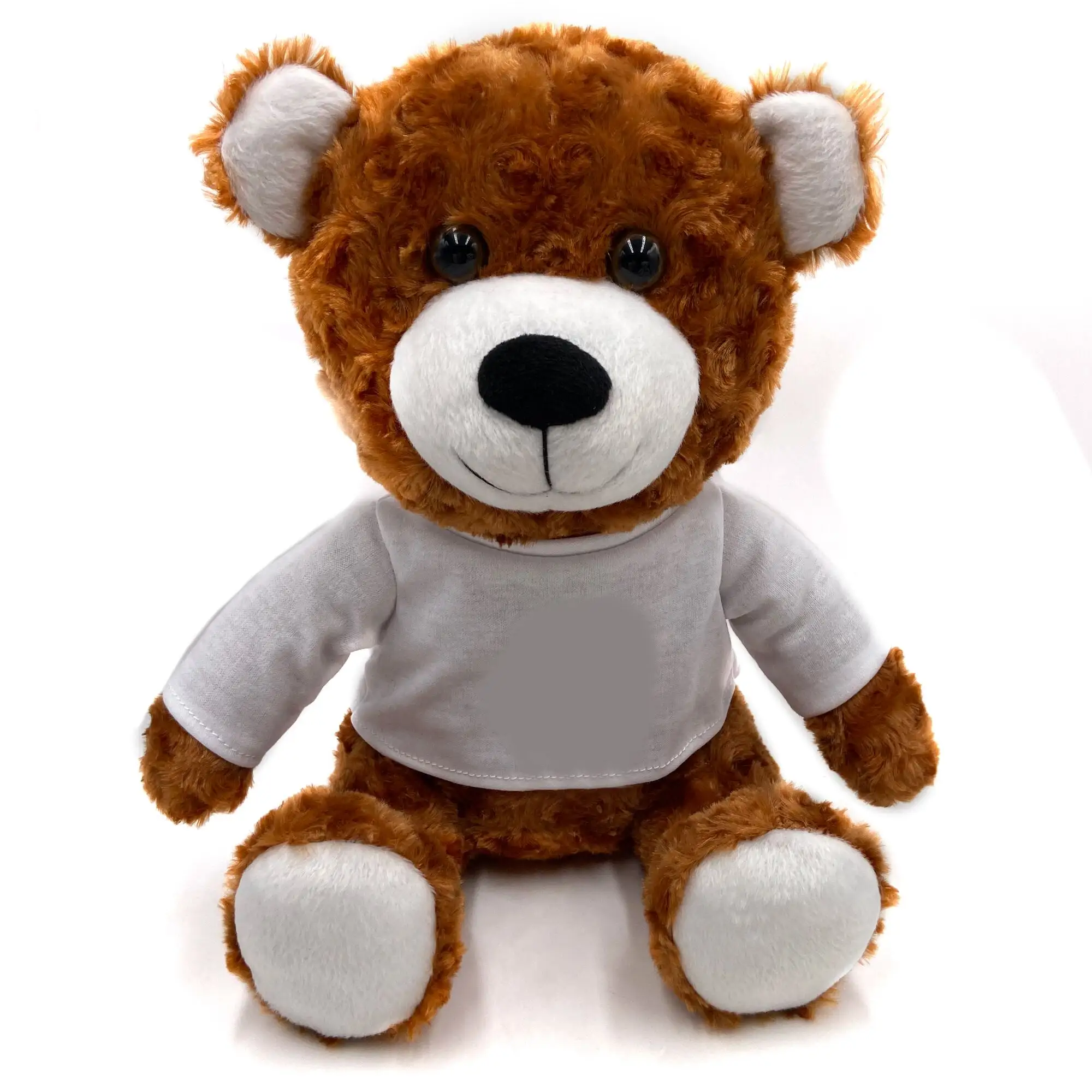 2021 Best Selling USA UK Europe AU Speaker Soft Stuffed Animal Stylish Designs Wholesale New Style Functional Bear Toy