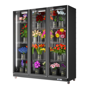 Refrigerador de flores vertical, vitrina comercial, precio de fábrica - Product Image 4