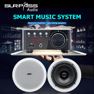 Bm100 + CR840 Công Suất Cao 50W Mini Cho <span class=keywords><strong>Bluetooth</strong></span> Khuếch Đại Với HIFI Sốt Loa Trần Kết Hợp Bộ Thu & Bộ Khuếch Đại - Product Image 4
