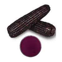 Versatile organic purple corn powder for use in Various Products -  Alibaba.com