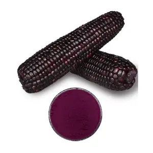 Extrato de milho estigma/farinha de milho/extrato de milho 100% orgânico roxo em pó OEM ODM