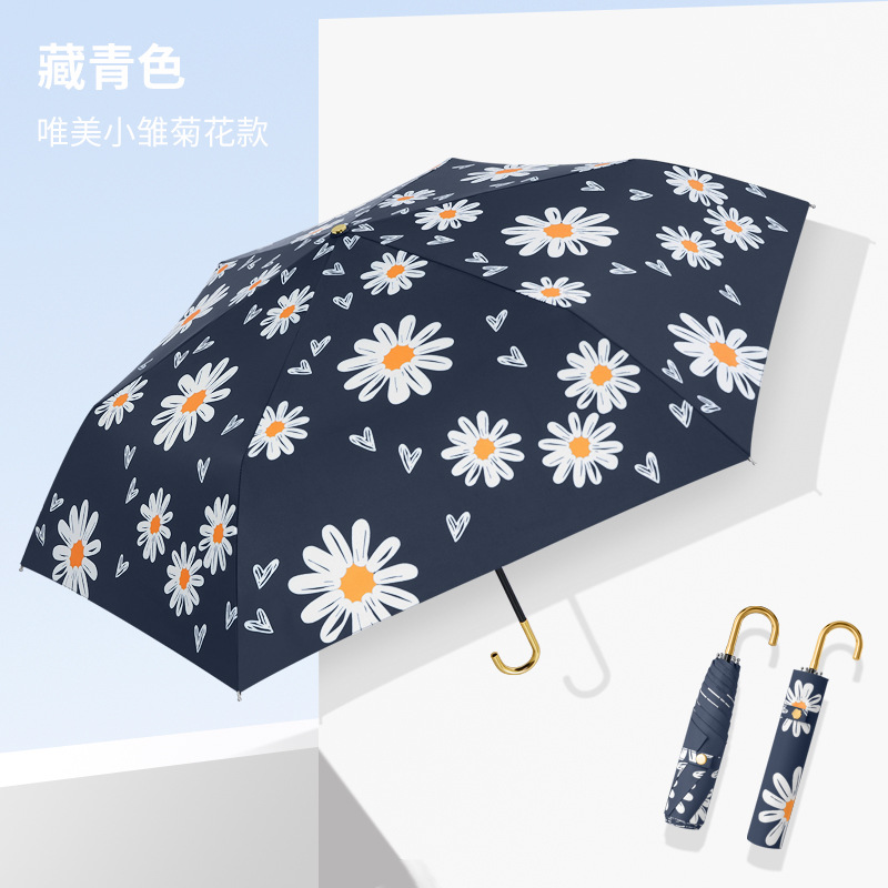 Marguerite bleu marine
