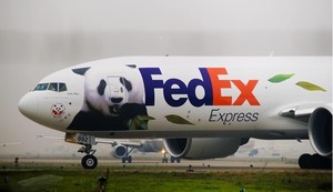 Service d'expédition express FEDEX de Chine vers les États-Unis pour les petits colis et les commandes <span class=keywords><strong>en</strong></span> gros avec assurance de <span class=keywords><strong>transit</strong></span> de 8 à 12 jours incluse - Product Image 3