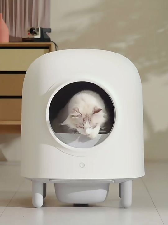 beautiful cat water fountain PawsPik SS-01 Stainless Steel Cat Fountain, 108.2-oz