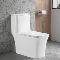 Doublement affleurant en céramique raccord de chasse d'eau monobloc lavage sans rebord wc ensembles de toilette salle de bain