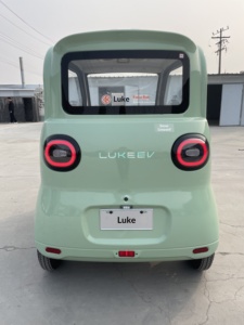 Triciclo Elettrico Economico 60V Tipo Chiuso a 3 Ruote per Trasporto Passeggeri e Mini <span class=keywords><strong>Auto</strong></span> per Adulti - Product Image 6