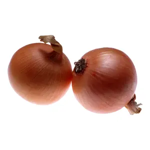 Chinese factory supply fresh vegetables red shallot onions price