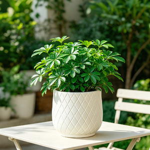 Grand couvercle de <span class=keywords><strong>pot</strong></span> de fleurs sur pied pour plantes en terreau, résistant aux chocs, en PE épaissi, design minimaliste de style européen - Product Image 3