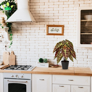 Pianta artificiale vera e propria tocco pianta di Alocasia <span class=keywords><strong>in</strong></span> <span class=keywords><strong>vaso</strong></span> nero pianta d'<span class=keywords><strong>appartamento</strong></span> per mensola <span class=keywords><strong>da</strong></span> tavolo centrotavola casa fattoria decorazioni per la casa - Product Image 5