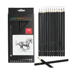 12pcs लकड़ी पेंसिल सेट कर सकते हैं कस्टम पेंसिल लोगो, ग्रेफाइट पेंसिल स्केच पेंटिंग के लिए