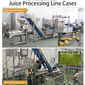 เครื่องสกัดน้ำผลไม้ 0.5-5 ตัน/ชม. เครื่องทำน้ำมะม่วง มะนาว แอปเปิ้ล สับปะรด - Product Image 3