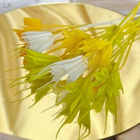 Fleurs d'anis étoilé naturelles et colorées, préservées, 40-60 cm, longue durée (3-5 ans), pour la maison, les mariages, les remises de diplômes, Noël