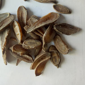 Wen Yu Jin, herbe médicinale traditionnelle chinoise, racine de <span class=keywords><strong>curcuma</strong></span> séchée, en vente - Product Image 2