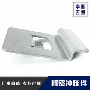 Herrajes para Estampado Bosi F-02: Bisagras Personalizadas para Ordenadores, Táctiles, de Tamaño No Estándar, de Acero Inoxidable y Bronce Fosforado - Product Image 3