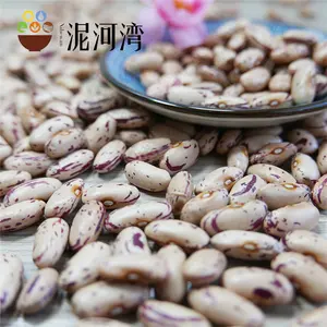 Lampu Cina spekled kacang ginjal kacang gula kacang Pinto untuk dijual