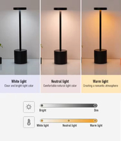 Mignon fantaisie LED fête événement éclairage lampe Holiday Club humeur Festival atmosphère avec fonction flexible