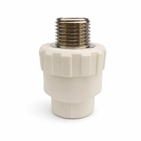 Sambungan Ulir Pria PPR, Adaptor Hot Fusion yang Dapat Diubah Menjadi Ulir Pria 1/2" untuk Air Panas & Dingin