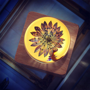 Globo de Resina con Tulipán Preservado, Flor Real en Resina <span class=keywords><strong>Cristal</strong></span>, Lámpara de Escritorio con Luz Nocturna y Batería Recargable, Decoración para Regalo de San Valentín - Product Image 5